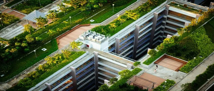 Cara Membuat Rooftop Garden Jadi Konsep Rumah Menteri di IKN