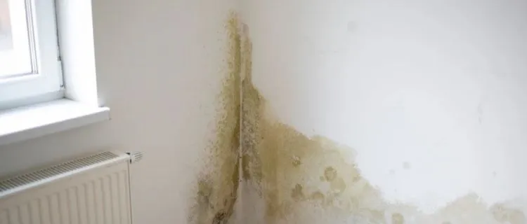 Penyebab Kamar Lembab di Rumah