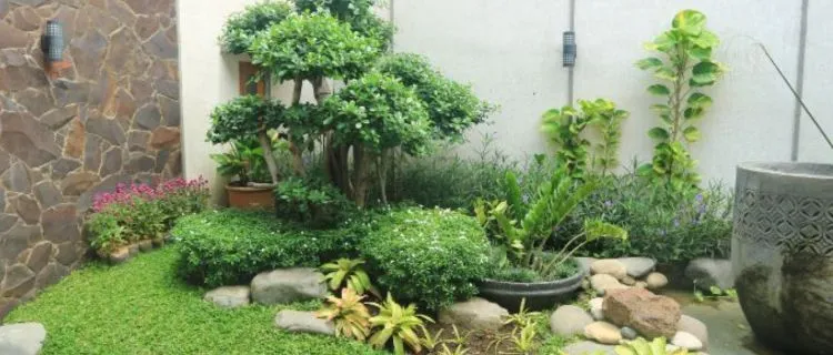 Ide Taman Belakang Rumah Minimalis